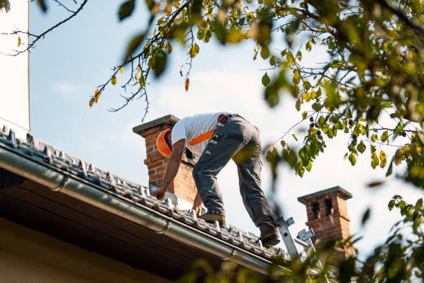 Roof Gutter Cleaning in Wailua Homesteads, HI