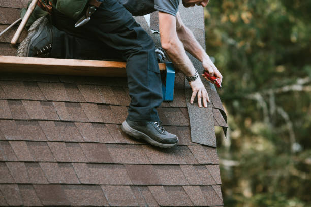 Best Tile Roofing Contractor  in Wailua Homesteads, HI